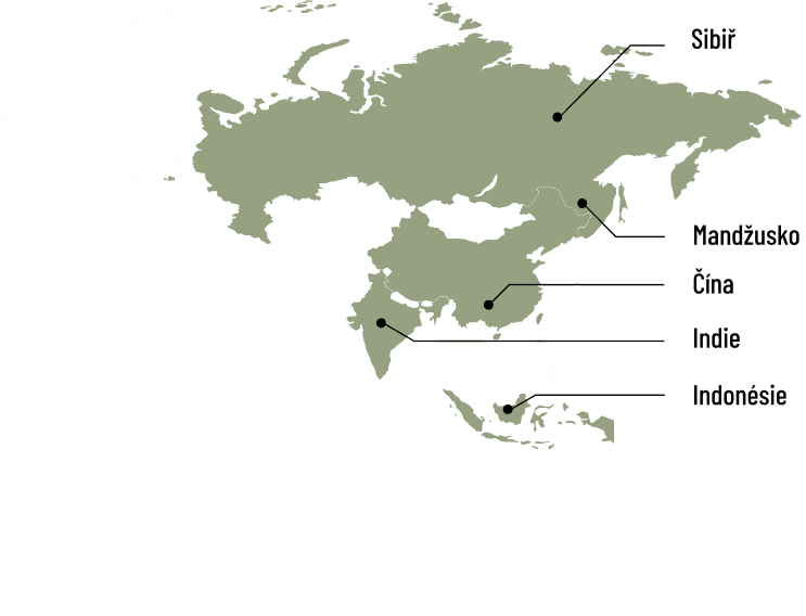 Mapa rozšíření tygrů